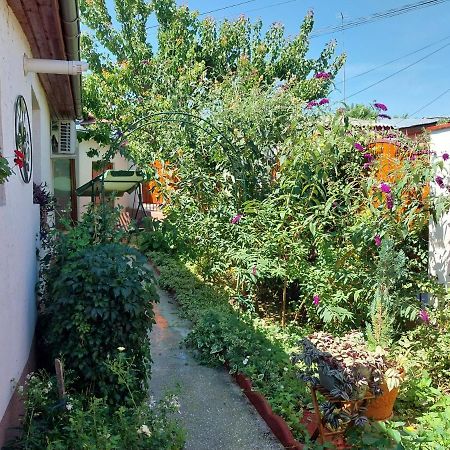 Casa Calin Villa Tulcea Luaran gambar